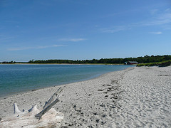 Ferry Beach, beach weddings, outdoor weddings, Maine beaches