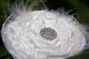 White Bridal Flower