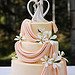 Wedding cakes, Maine, wedding favors, wedding ideas, wedding decorations
