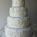 Winter wedding cake ideas, wedding cakes, winter wedding cakes, wedding cake ideas